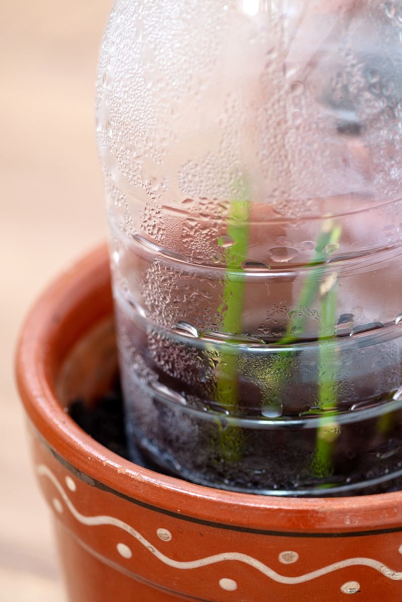 Cover the pot and choose a protected spot