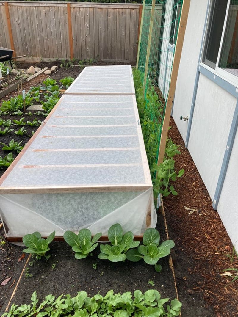 Covering Seedlings With Floating Row Cover And Hoops