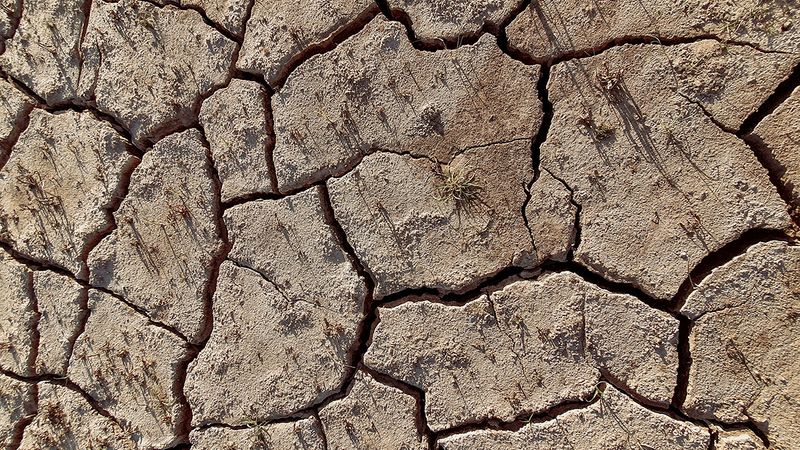 Cracks Appear Across The Surface When Dry