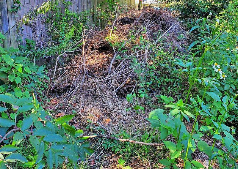 Create Shelter For Overwintering Insects