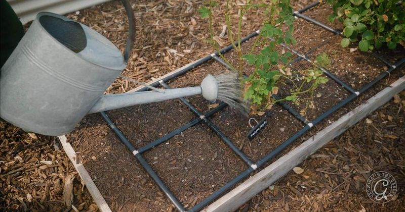 Create a Protected Habitat for Local Soil Life