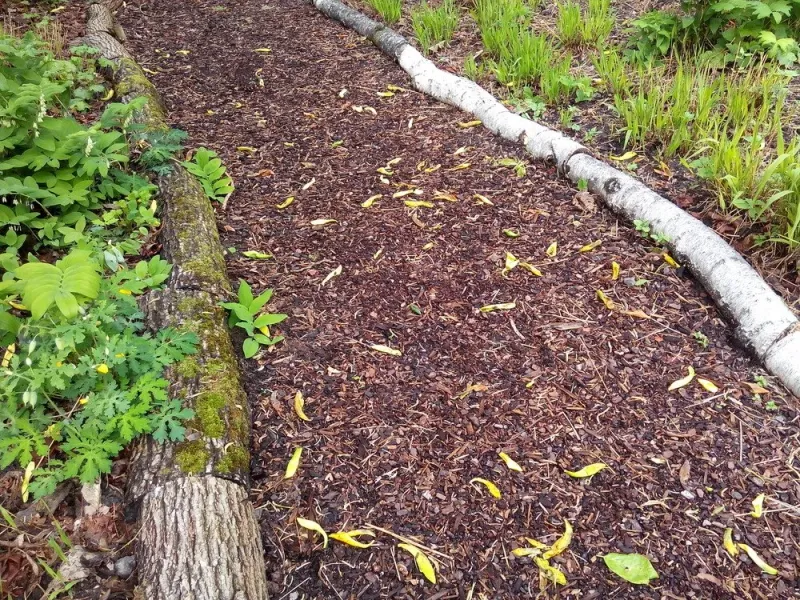 Creating A Wider Barrier Around Woodland Areas