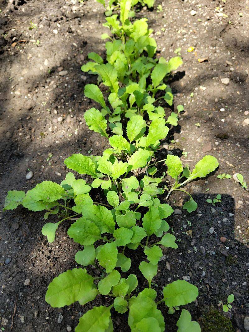 Crowded Rows And Other Common Slip-Ups Crowded Rows And Other Common Slip-Ups