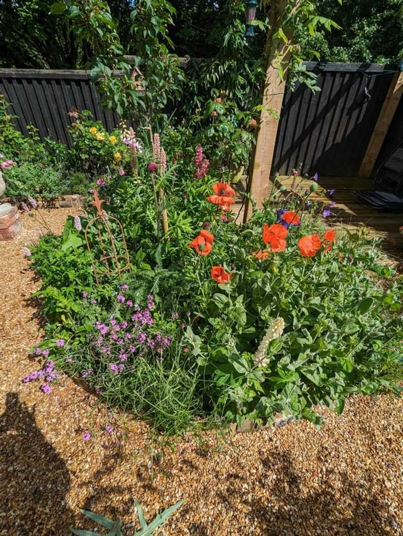 Crowding Plants Too Closely Together
