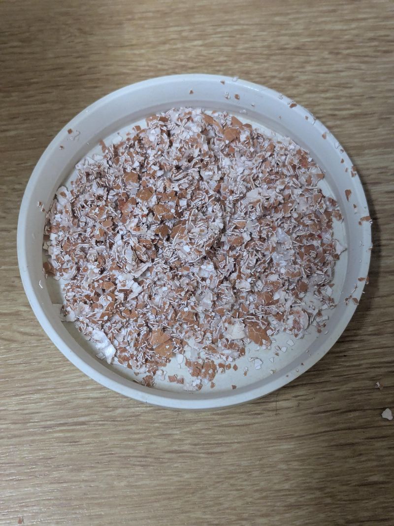 Crushed Eggshells From Breakfast Leftovers