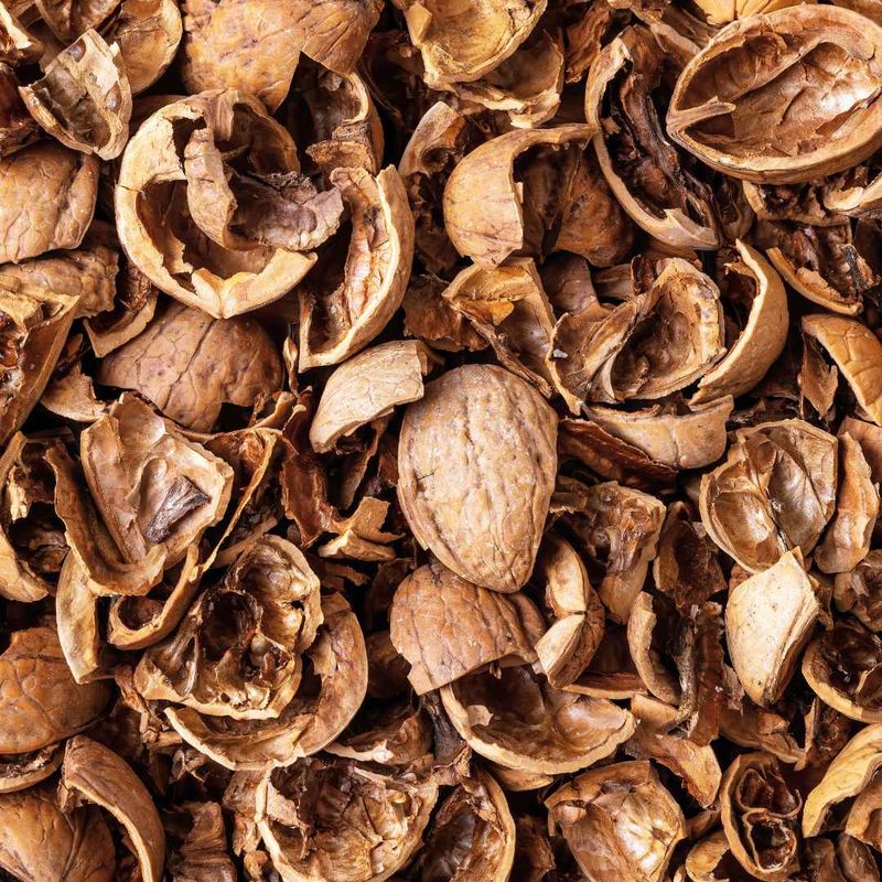 Crushed Nut Shells
