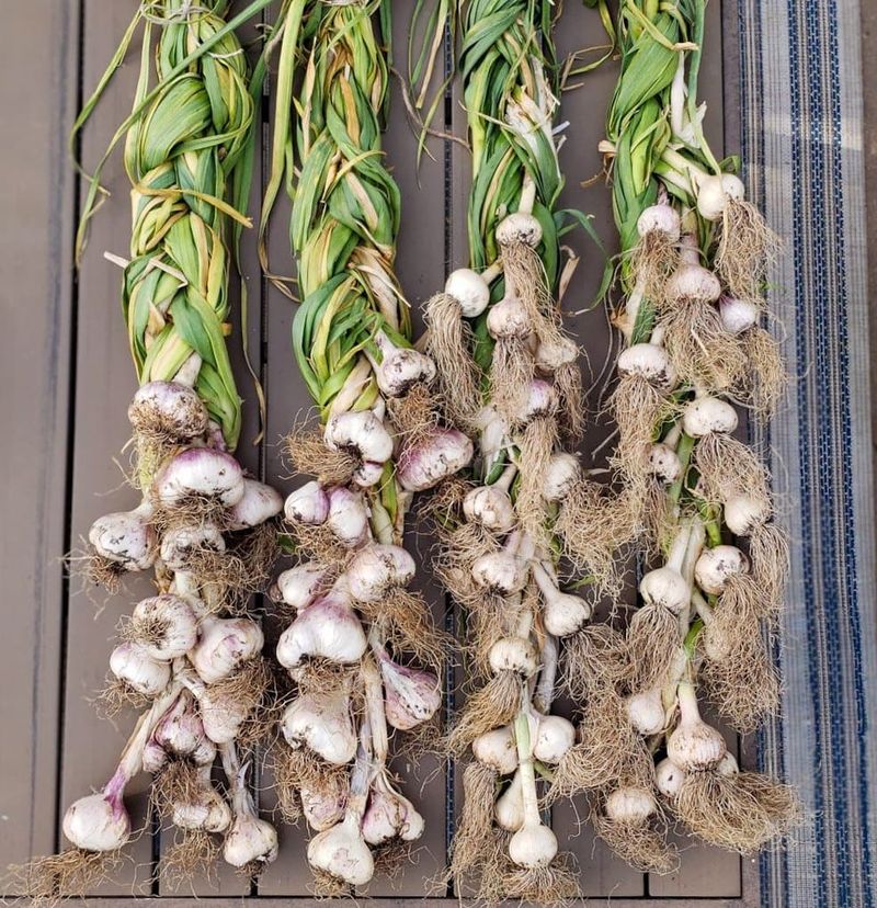 Curing Takes Time You Have To Plan For
