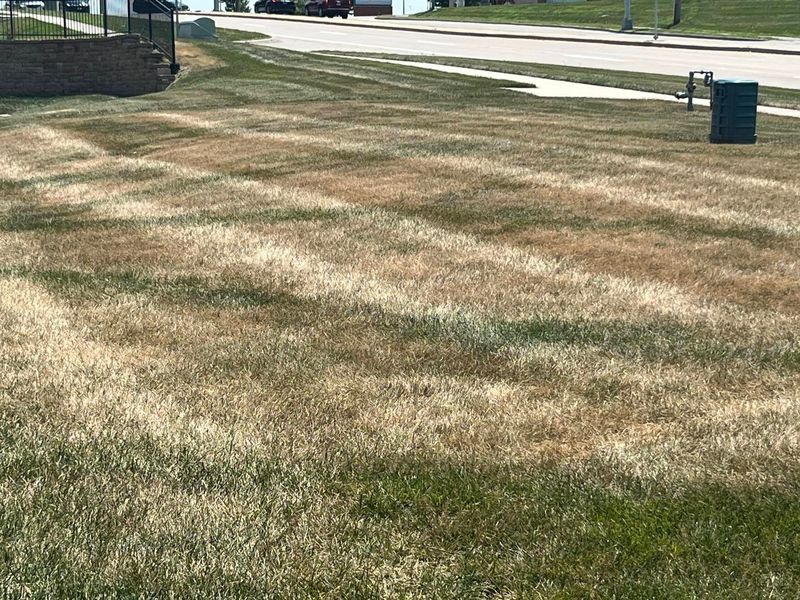 Cutting The Lawn Too Short Before Winter