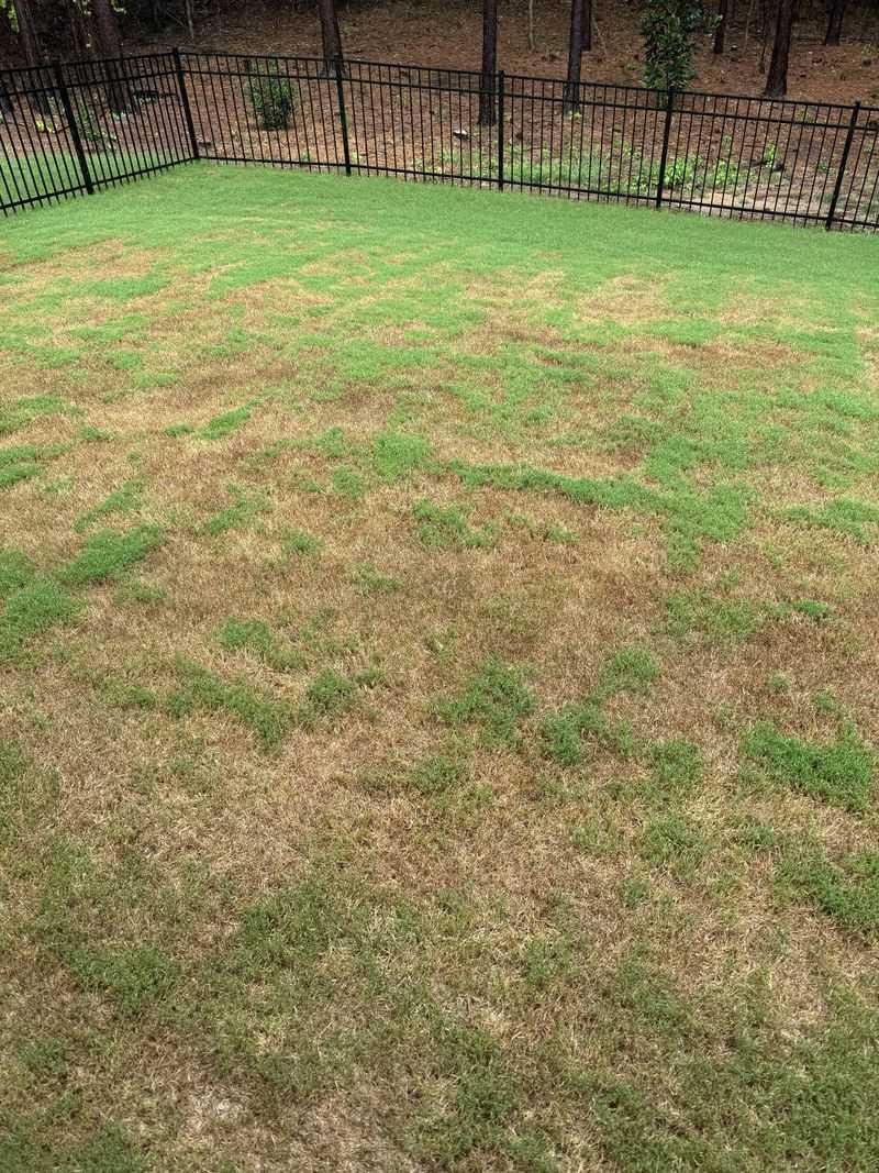 Cutting Too Much At Once Can Stress The Lawn
