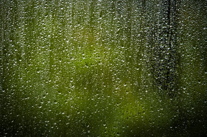 Dampness Doing More Harm Than Cold Dampness Doing More Harm Than Cold