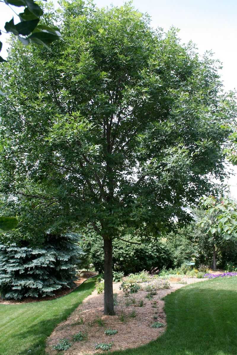 Decades Of Growth Add Up Overhead