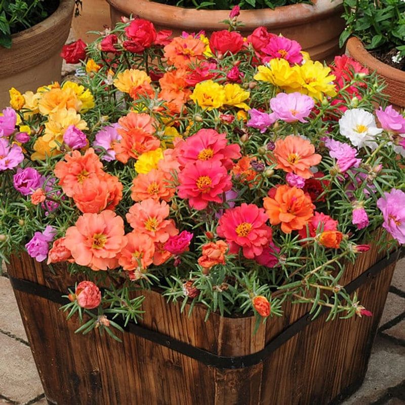 Decide whether its real benefits fit your yard Decide whether its real benefits fit your yard