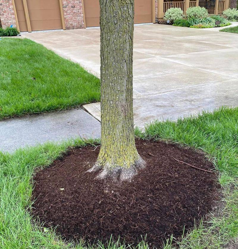 Deep Mulch Can Affect Root Growth