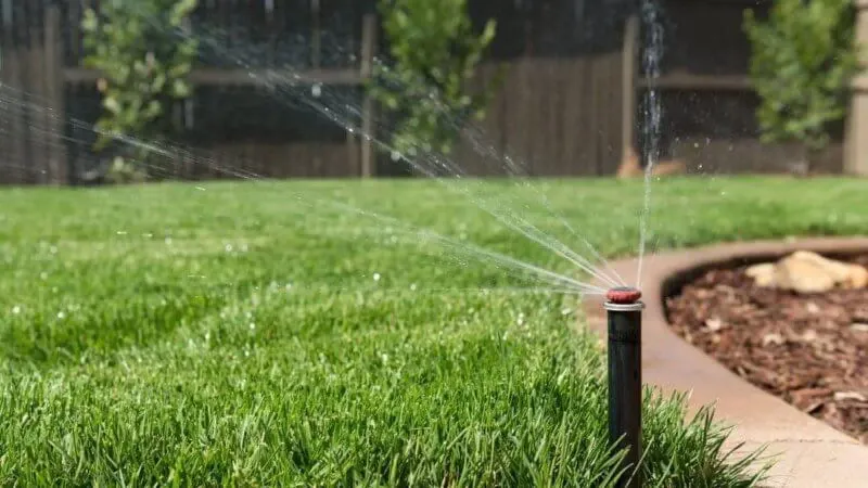 Deep Watering Supports Damaged Areas