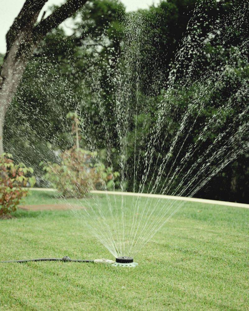 Deep Watering To Rebuild Roots