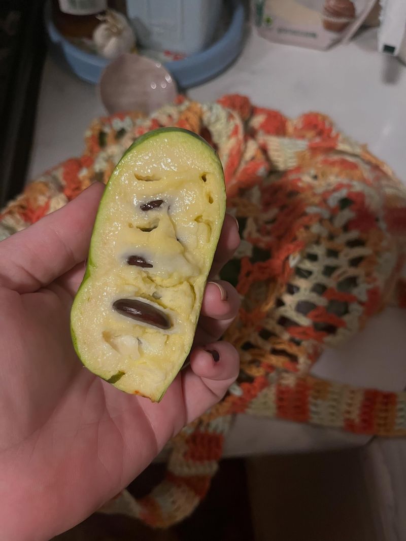 Dehydrate Or Preserve Pawpaw Carefully