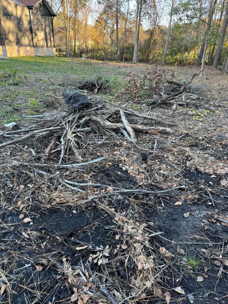 Dense Brush And Rock Piles Offer Perfect Cover Dense Brush And Rock Piles Offer Perfect Cover