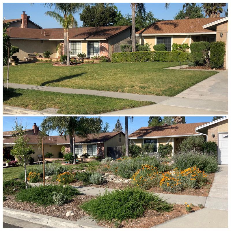 Design Rules Can Still Apply To A Native Yard Design Rules Can Still Apply To A Native Yard