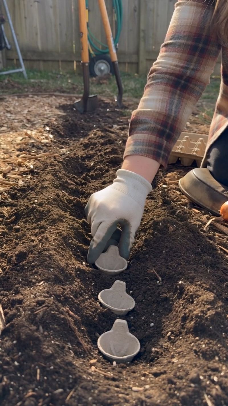 Dig A Little Deeper At Planting Time