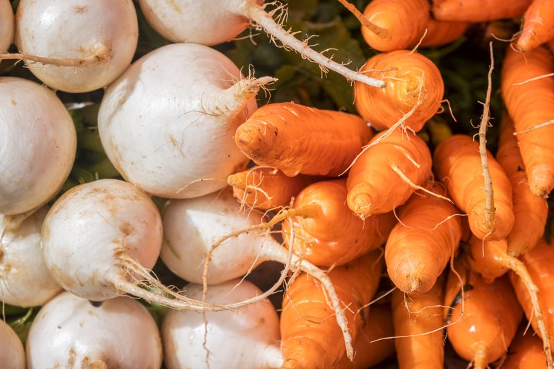 Direct Sow Carrots, Beets, And Turnips Direct Sow Carrots, Beets, And Turnips