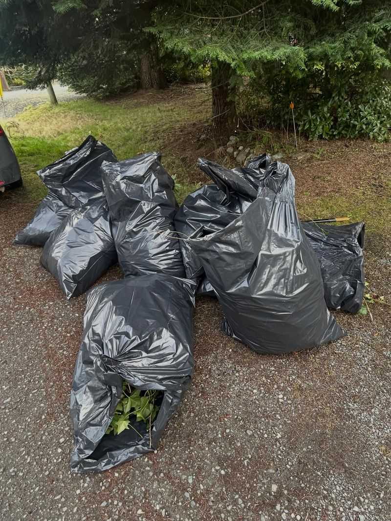 Dispose of every cutting so it cannot start again