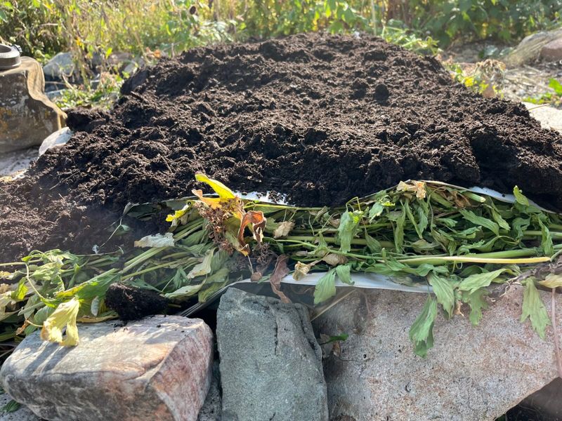 Do Not Add Diseased Material To Compost