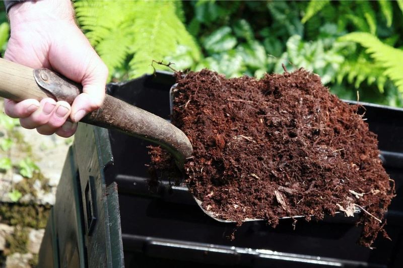 Do Not Chase Fall Growth With Excess Nitrogen