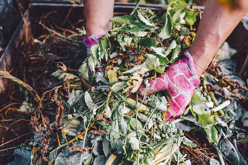 Do Not Compost Diseased Plant Material
