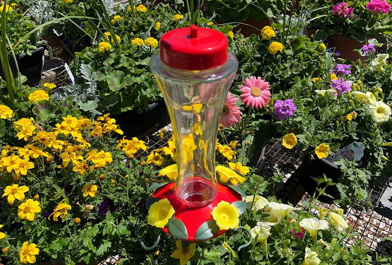 Do Not Hide Feeders In Dense Shrubs Do Not Hide Feeders In Dense Shrubs