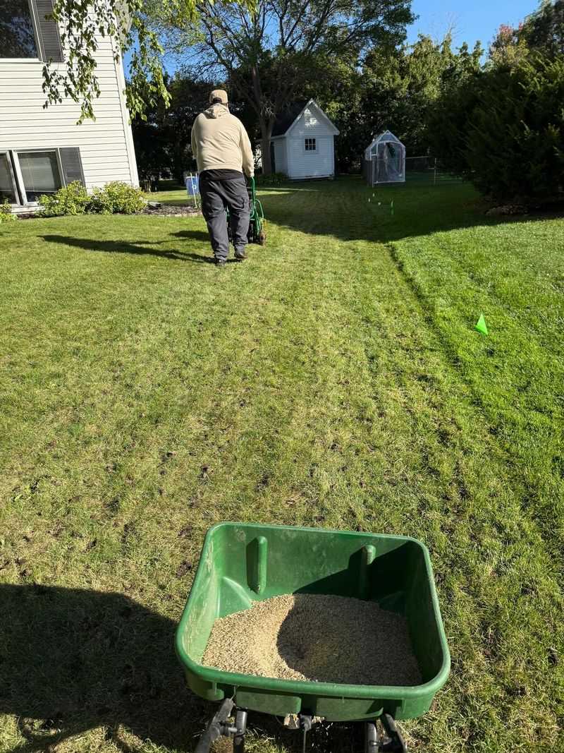 Do Not Skip Fall Overseeding When Needed