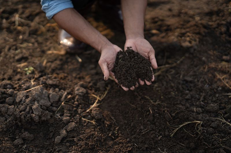 Do Not Work Saturated Soil