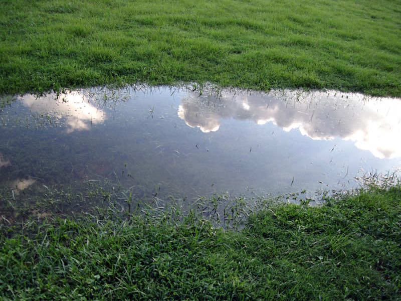 Do not create stagnant water or spray for the effect