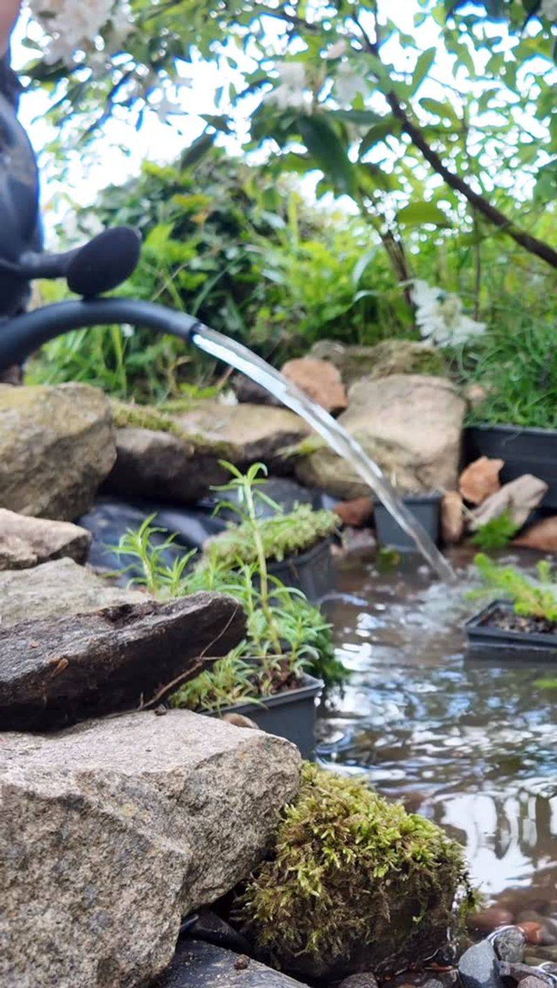 Doing A Partial Water Change Before Closing Things Down