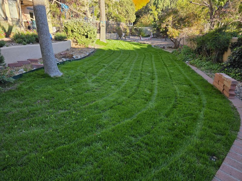 Dormant Seeding, Spring Patching, And The Long Game Payoff