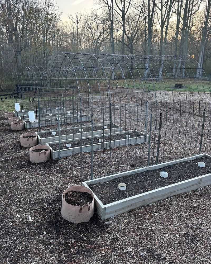 Drainage Matters Before Bulbs Go In The Ground