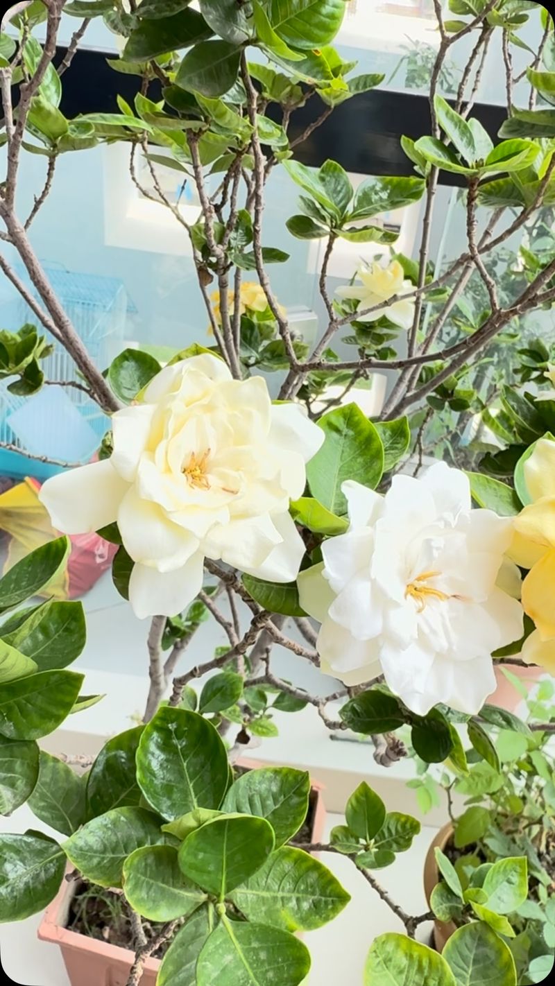 Drainage Problems From Heavy Fall Rain