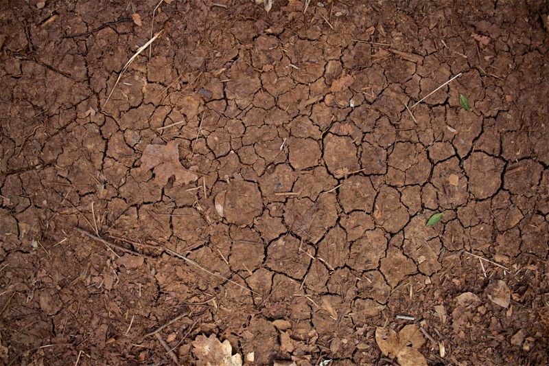 Drought Stress Is Speeding Up The Color Clock