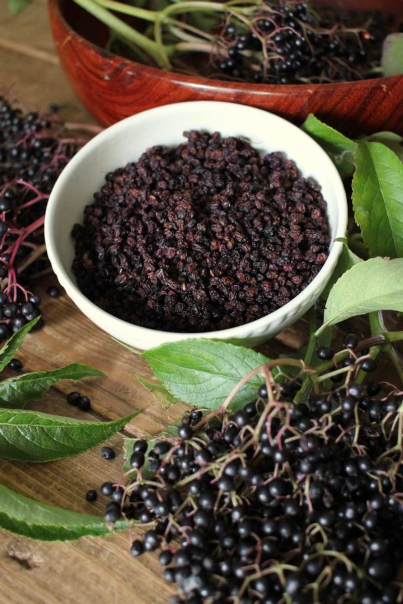 Dry Berries For Tea Blends And Winter Storage Dry Berries For Tea Blends And Winter Storage
