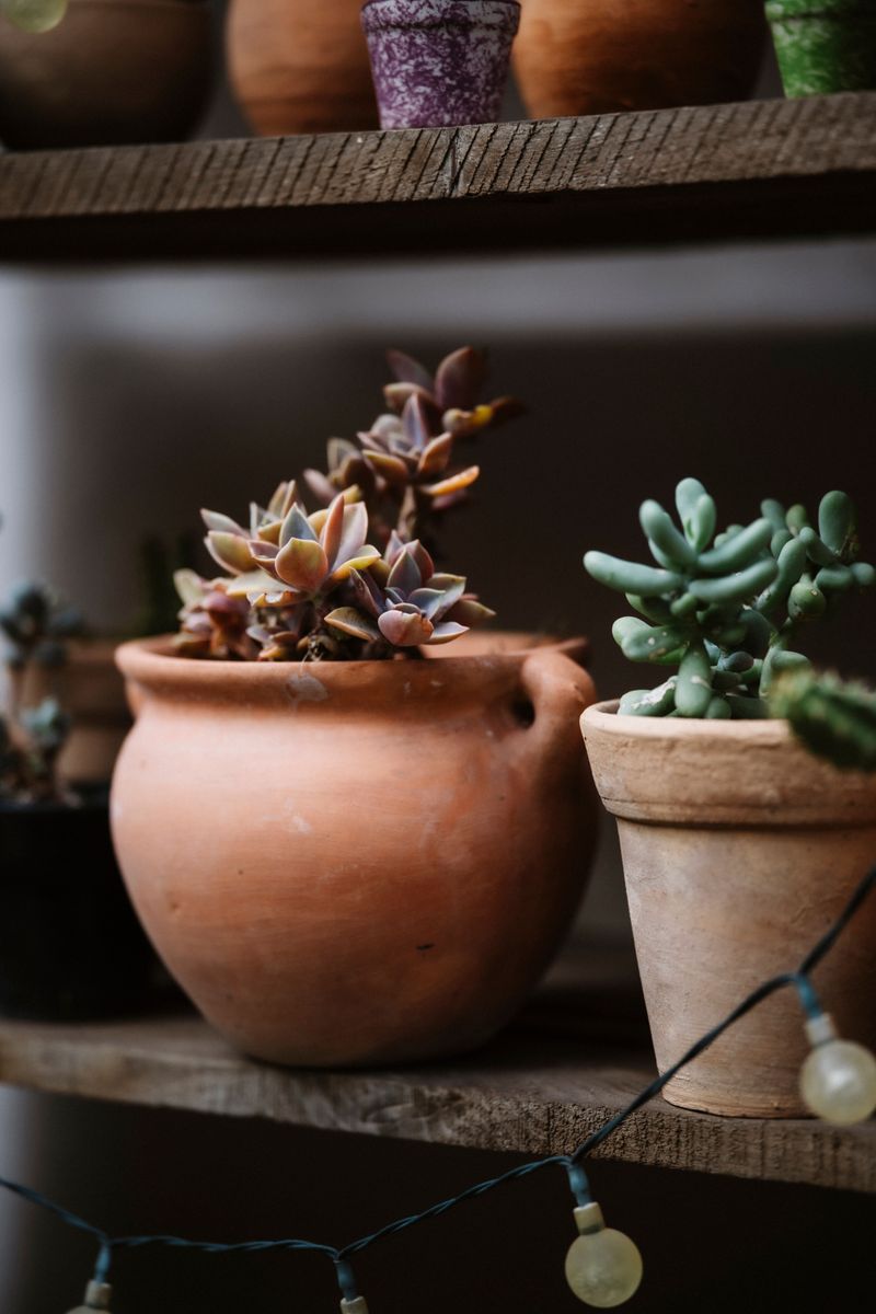 Dry Indoor Spots Keep Pots Safe All Winter Dry Indoor Spots Keep Pots Safe All Winter