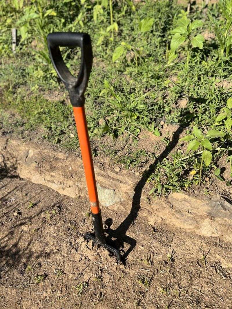 Dry Soil Can Become Hard And Compacted