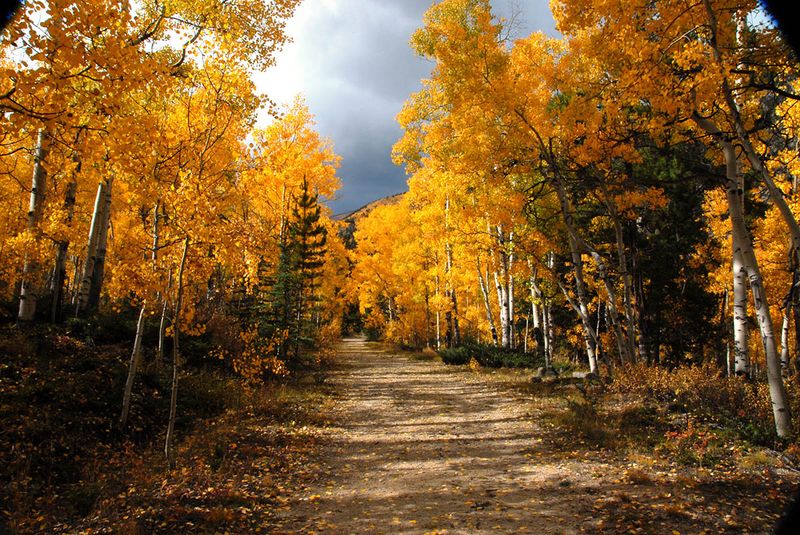 Dry Summers Push Color Ahead Of Schedule Dry Summers Push Color Ahead Of Schedule