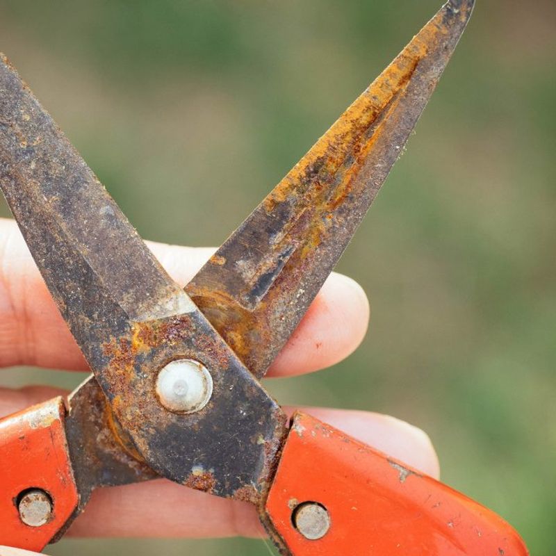 Dry Tools Fully Before Storing Them