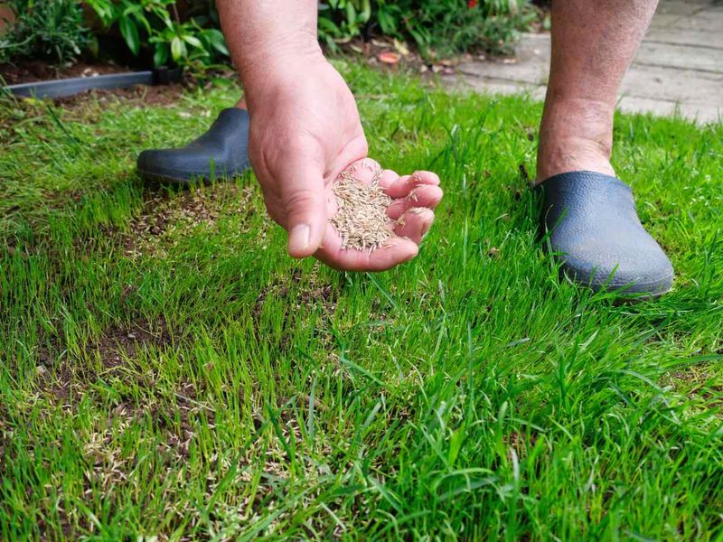 Early Morning Is Often The Best Starting Point