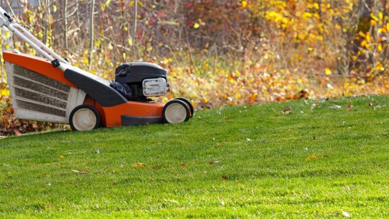 Early Mowing Mistakes Can Undo Six Weeks Of Work
