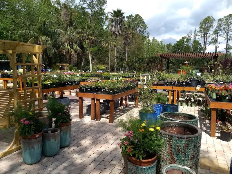 Earth Works Brings The Palms To Jacksonville's Beach Boulevard