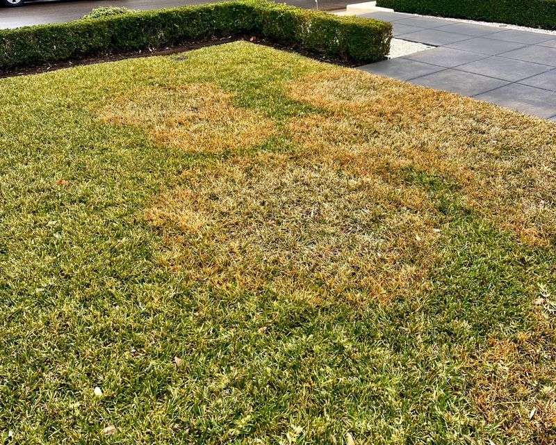 Ease Off Heavy Nitrogen Feeding