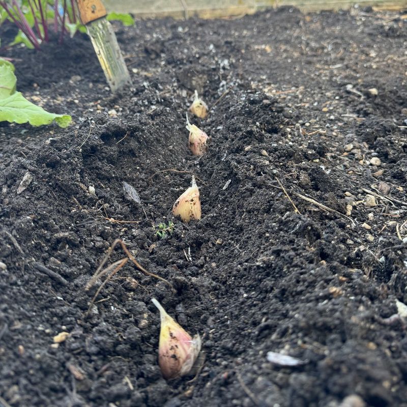 Easier Soil Preparation Before Winter Sets In Easier Soil Preparation Before Winter Sets In