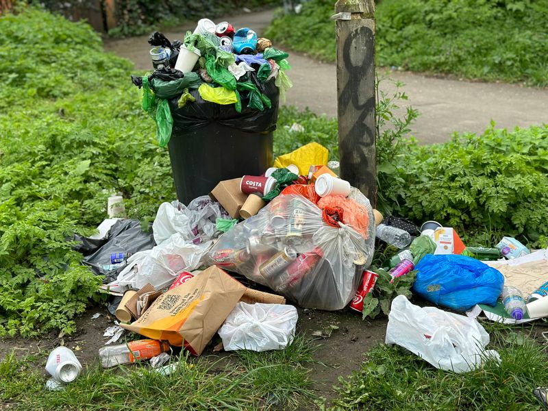 Easy Access To Trash Keeps Them Coming Back Easy Access To Trash Keeps Them Coming Back