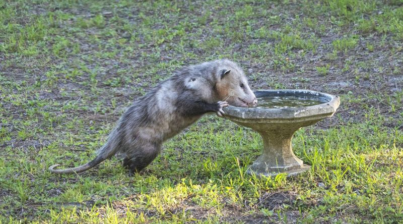 Easy Water Sources