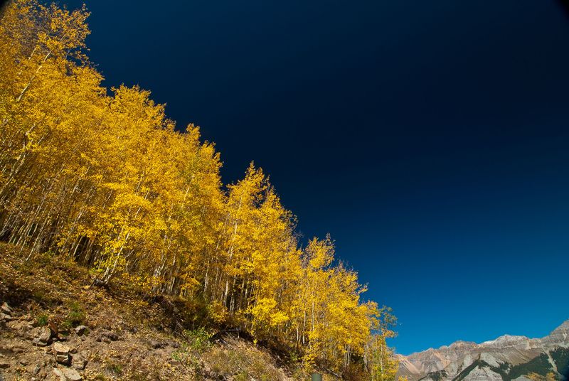Elevation Speeds Up The Mountain Calendar Elevation Speeds Up The Mountain Calendar